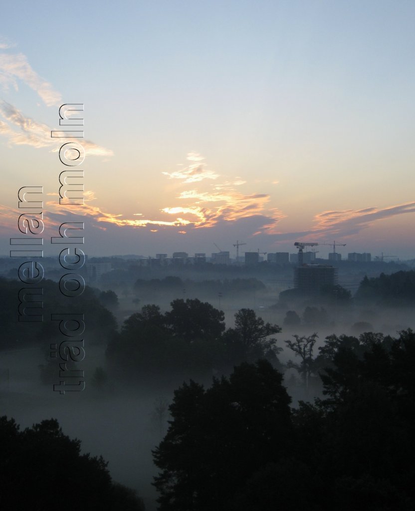 I h&ouml;ghusen lever vi n&aring;gonstans mellan tr&auml;dens toppar och molnens bukar.